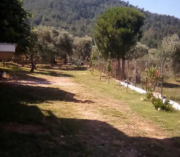 Doukas 3* Skala Rachoni (Thasos)